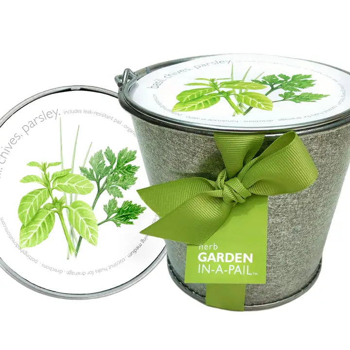 Herb Garden in a Pail