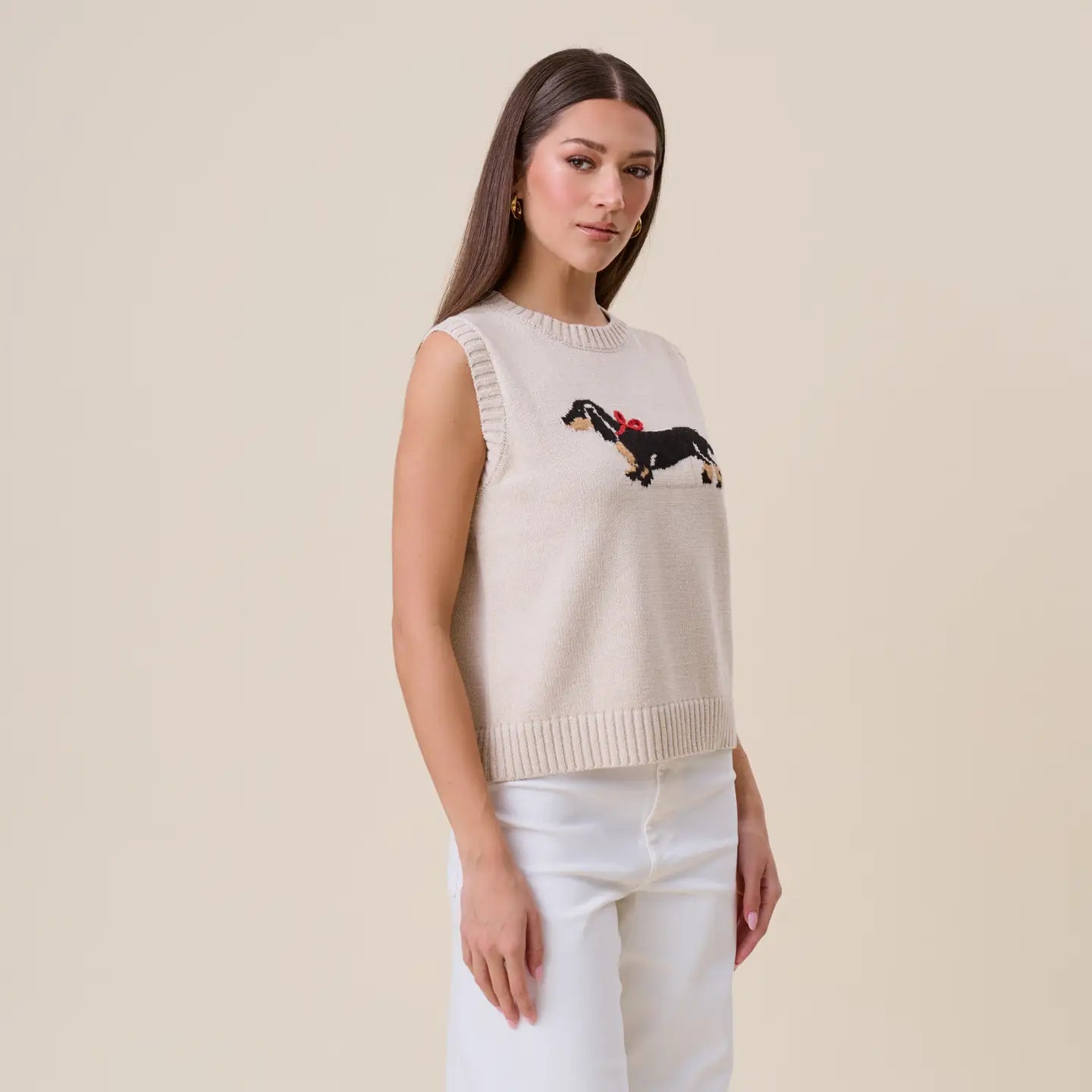 Dog Sweater Vest