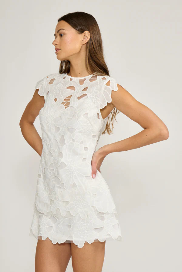 Lucy Paris Greta Eyelet Mini Dress