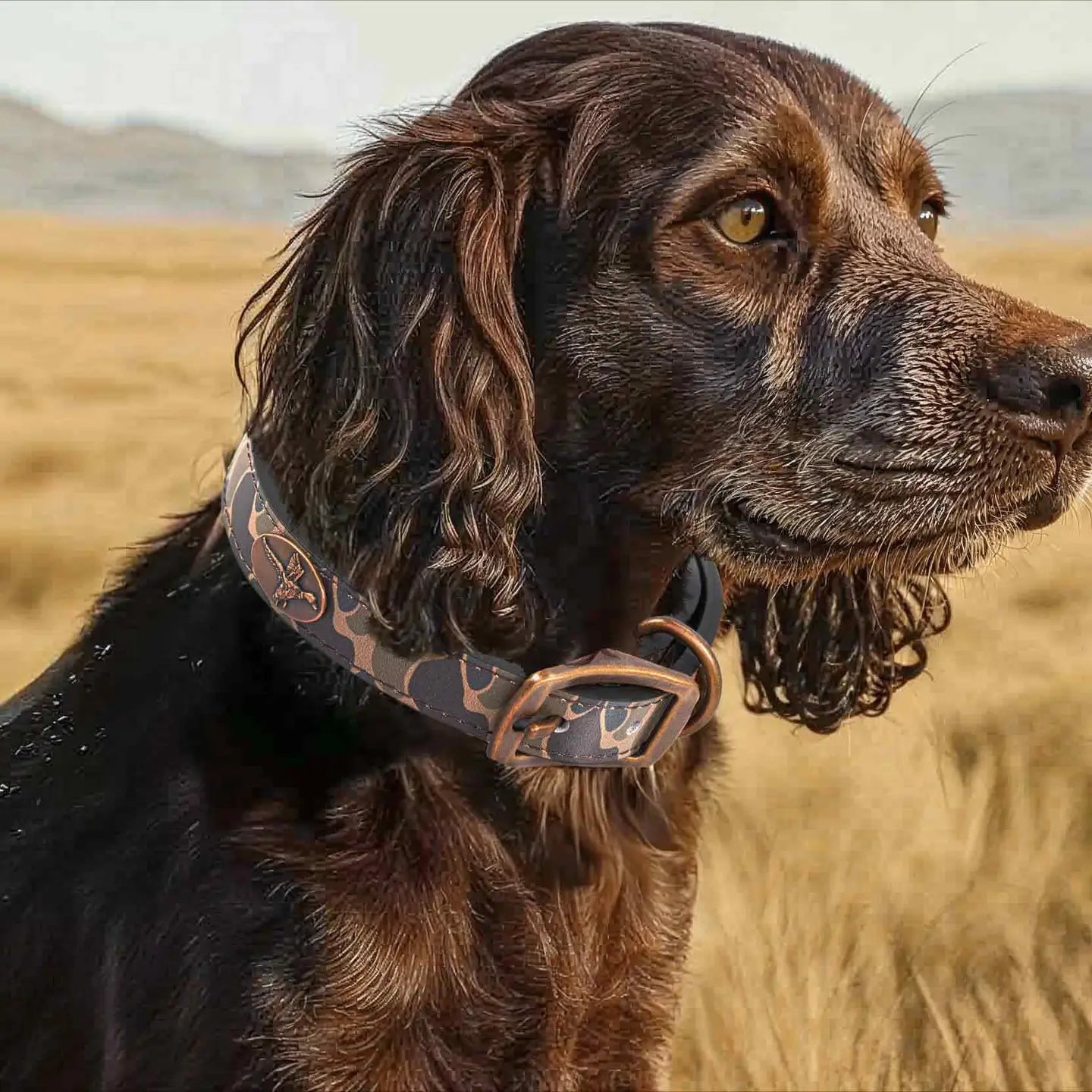 Zep Pro GA Camo Dog Collar Large